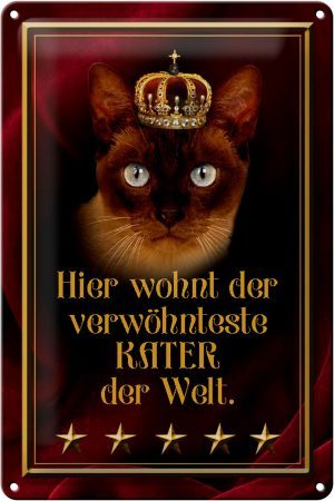 Schild Blech 20x30cm - Made in Germany - Spruch hier wohnt Kater der Welt Metall Deko Blechschild