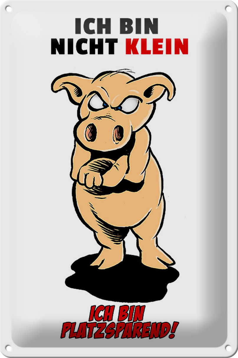Schild Blech 20x30 cm - Made in Germany - Bin nicht klein bin platzsparend Metall Deko Schild