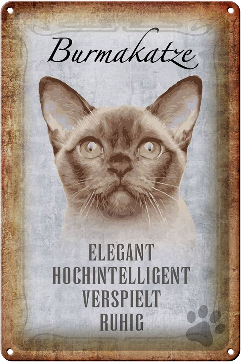 Schild Blech 20x30cm - Made in Germany - Spruch Burmakatze Katze Metall Deko Schild