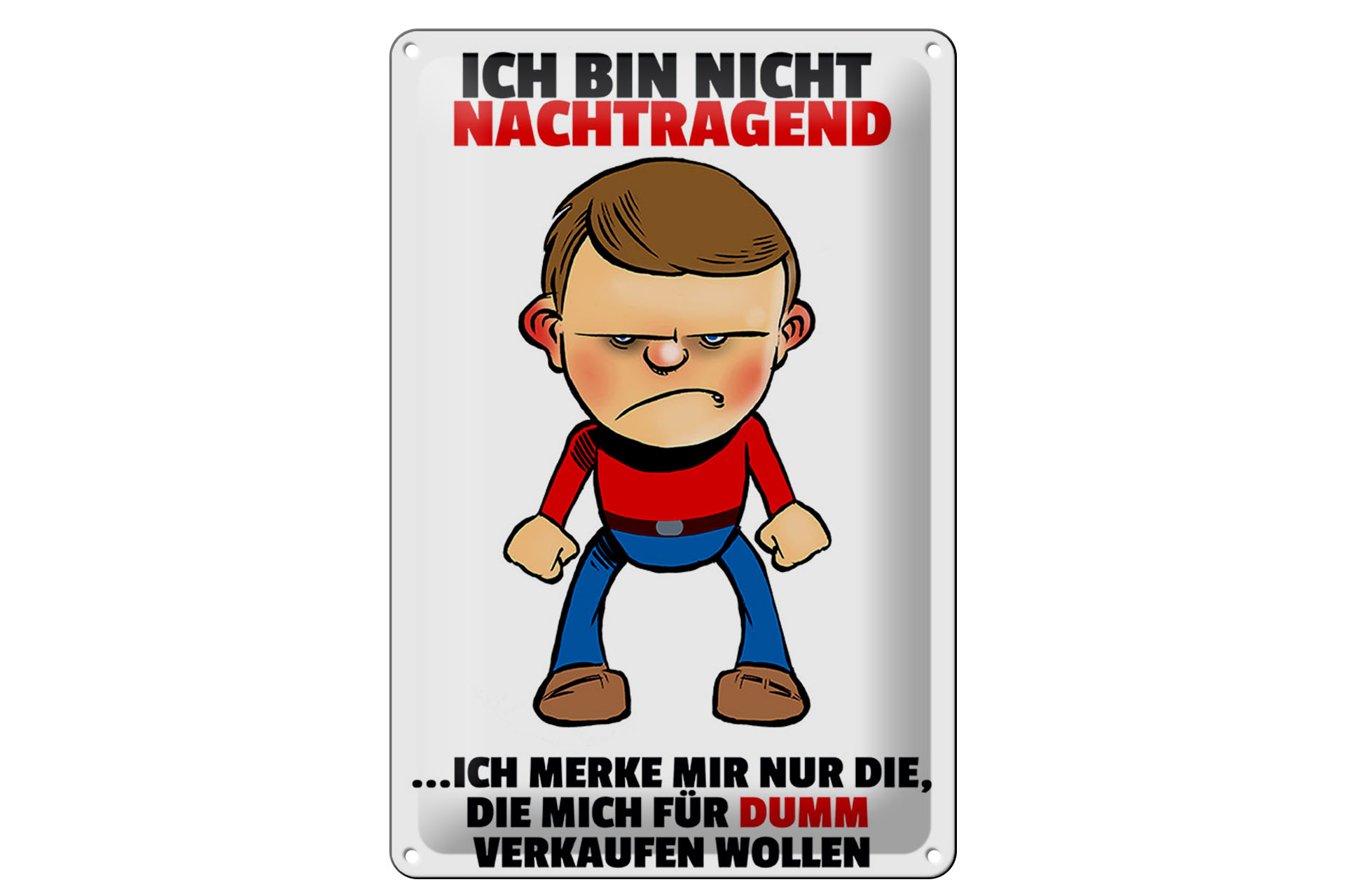 Schild Blech 20x30cm - Made in Germany - bin nicht nachtragend merke mir Metall Deko Schild