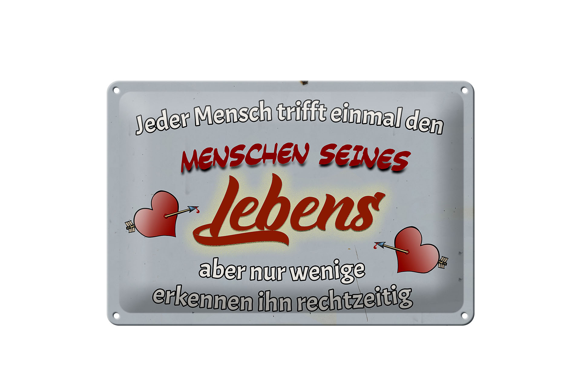 Schild Blech 30x20cm - Made in Germany - Spruch Jeder Mensch trifft einmal den Metall Deko Schild