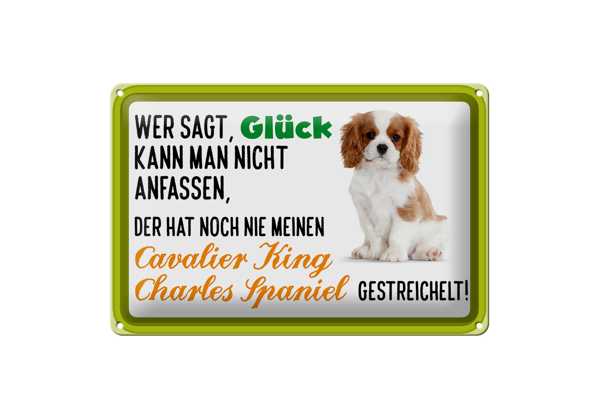 Schild Blech 30x20cm - Made in Germany - Spruch Cavalier King Charles Spaniel