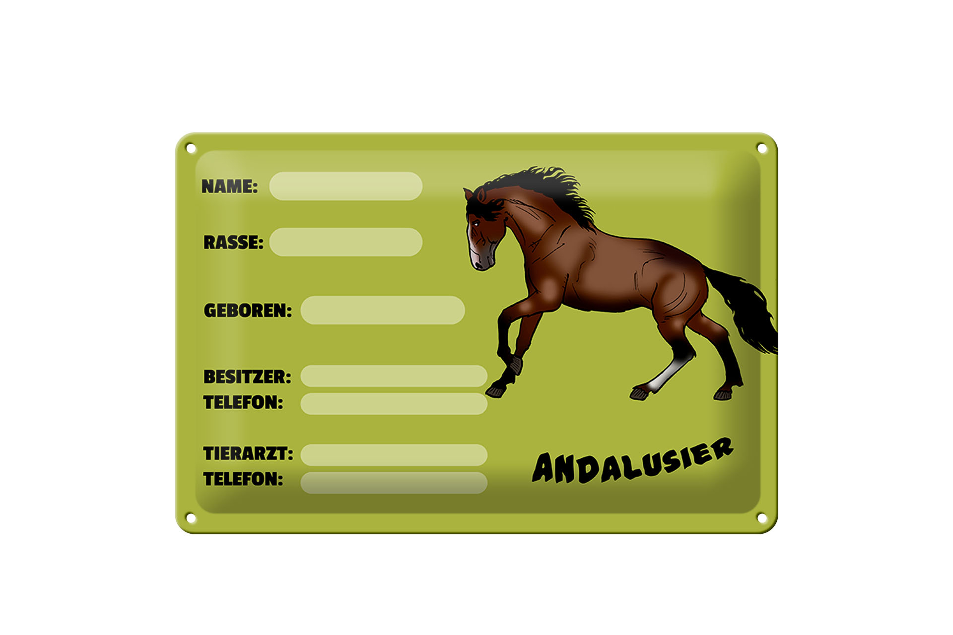 Schild Blech 30x20cm - Made in Germany - Steckbrief Andalusier Name Besitzer Rasse