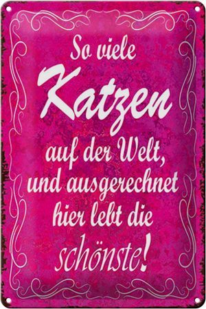 Schild Blech 20x30cm - Made in Germany - Spruch so vilele Katzen auf der Welt Metall Deko Blechschild