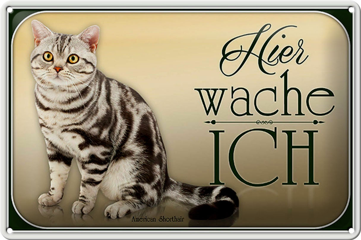Schild Blech 30x20cm - Made in Germany - Katze American Shorthair hier wache Metall Deko Blechschild