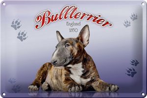 Schild Blech 30x20cm - Made in Germany - Hund Bullterrier England 1850 Metall Deko Blechschild
