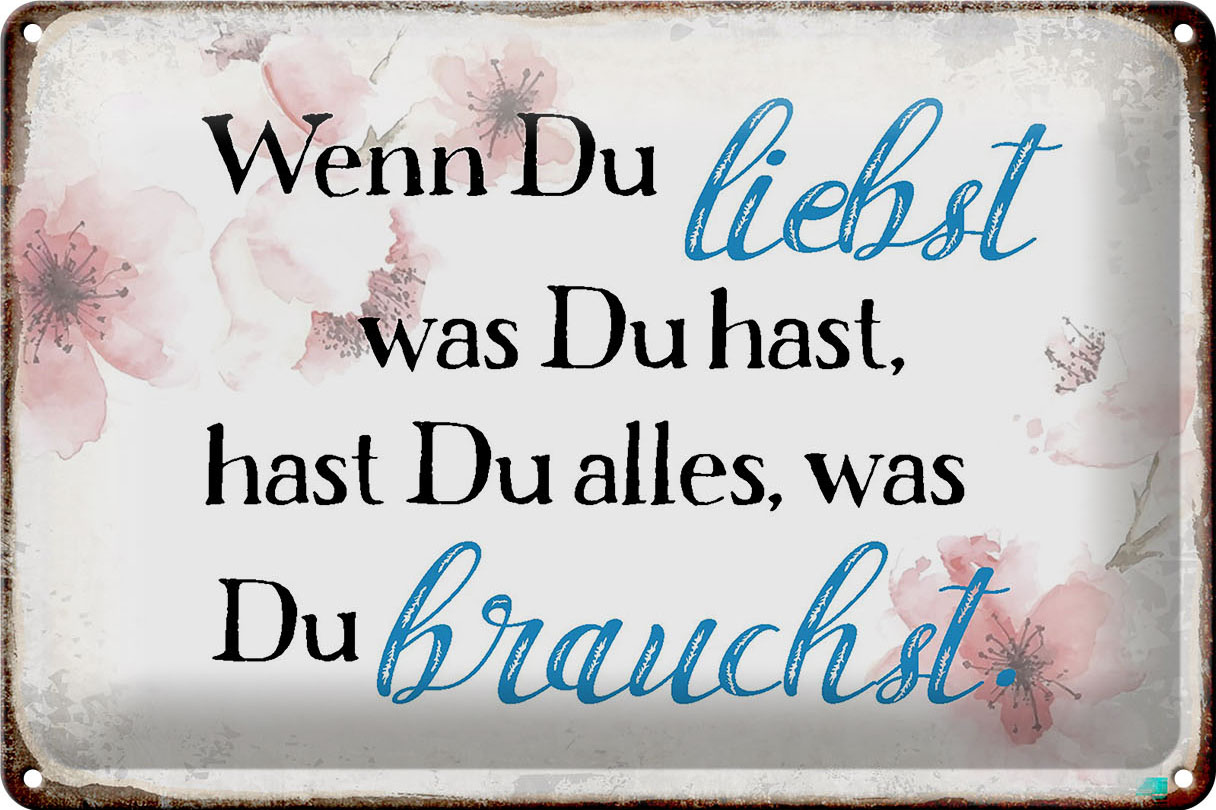 Schild Blech 30x20cm - Made in Germany - Spruch wenn du liebst was du hast Metall Deko Blechschild