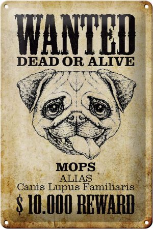 Schild Blech 20x30cm - Made in Germany - Hund wanted dead Mops Alias
