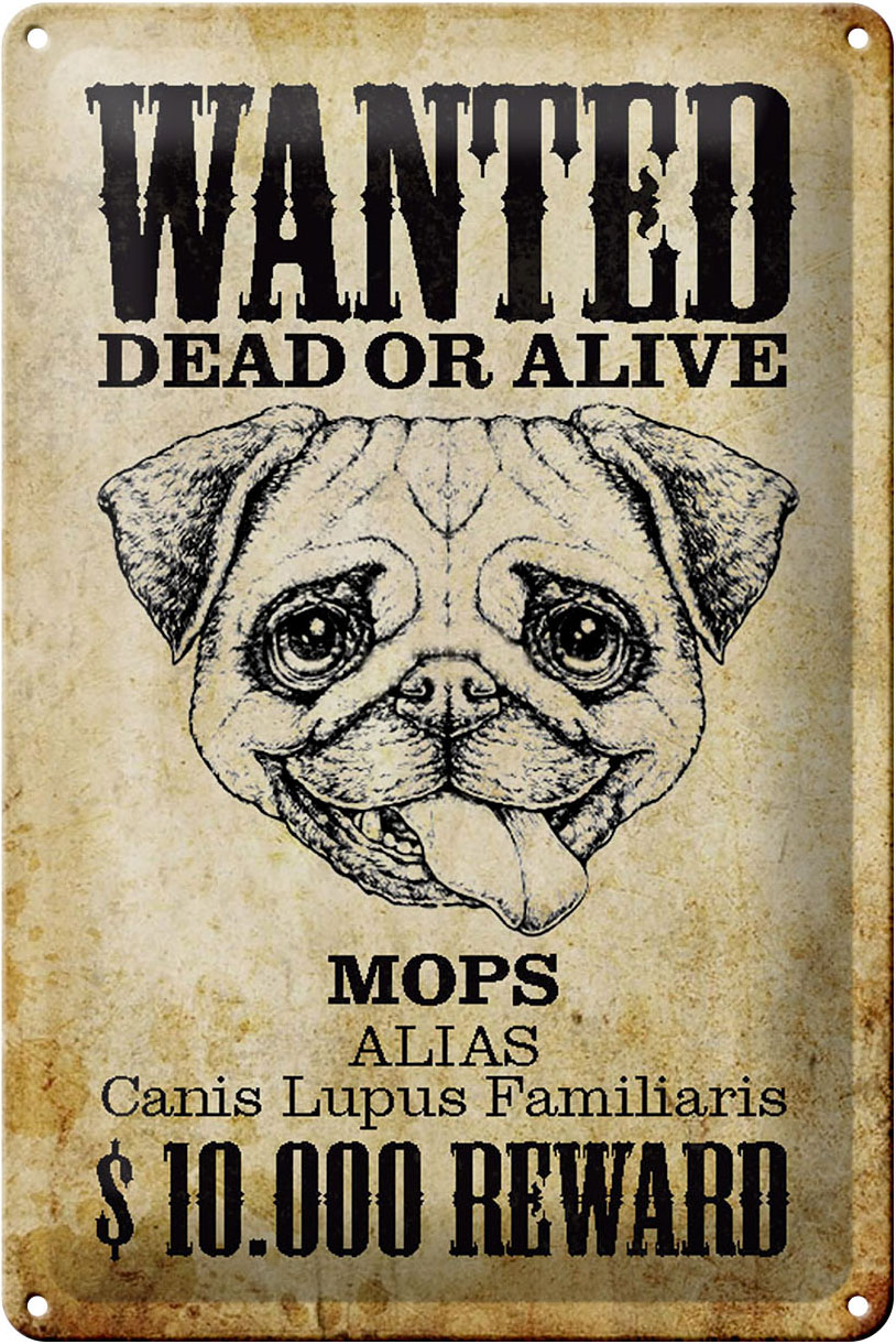 Schild Blech 20x30cm - Made in Germany - Hund wanted dead Mops Alias