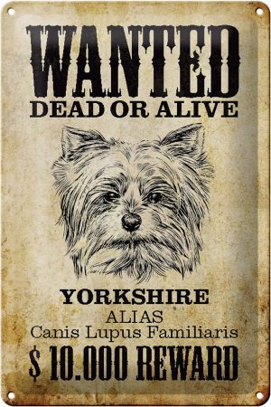 Schild Blech 20x30cm - Made in Germany - Hund wanted dead Yorkshire