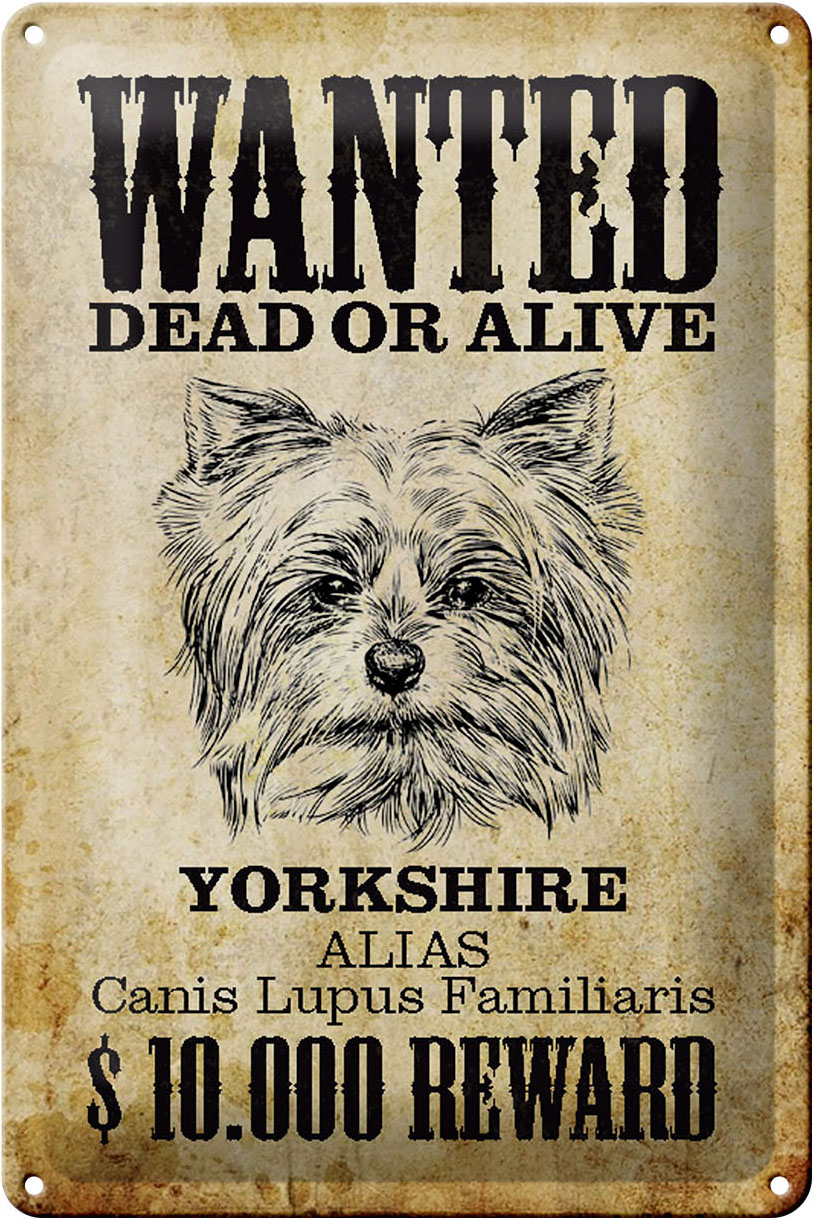 Schild Blech 20x30cm - Made in Germany - Hund wanted dead Yorkshire