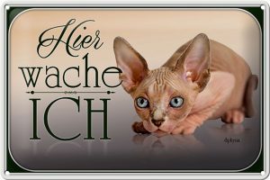 Schild Blech 30x20cm - Made in Germany - Katze Sphynx hier wache ich Metall Deko Blechschild