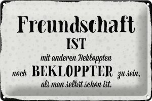 Schild Blech 30x20cm - Made in Germany - Spruch Spruch Freundschaft ist bekloppter sein Metall Deko Blechschild