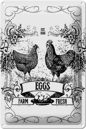 Schild Blech 20x30cm - Made in Germany - Spruch EGGS farm fresh est. 1886 Metall Deko Blechschild