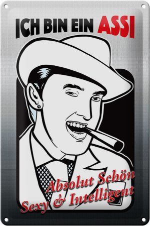 Schild Blech 20x30cm - Made in Germany - Spruch ich bin ASSI schön intelligent Metall Deko Blechschild