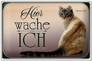 Schild Blech 30x20cm - Made in Germany - Katze American Curl hier wache ich Metall Deko Blechschild