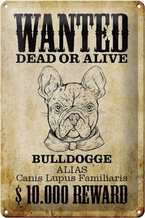 Schild Blech 20x30cm - Made in Germany - Hund wanted dead Bulldogge Alias