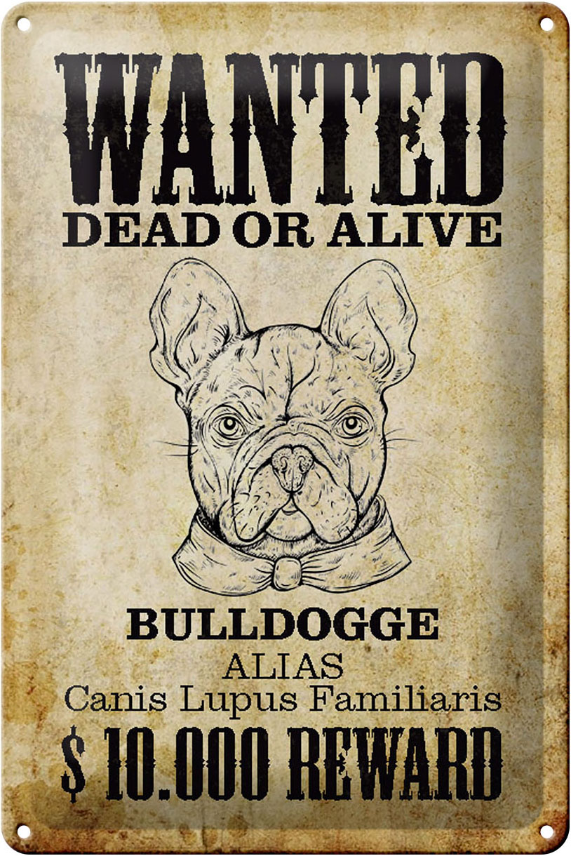 Schild Blech 20x30cm - Made in Germany - Hund wanted dead Bulldogge Alias