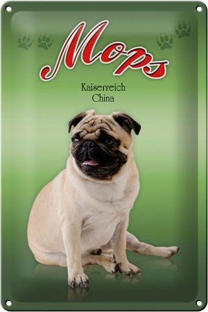 Schild Blech 20x30cm - Made in Germany - Hund Mops Kaiserreich China Metall Deko Blechschild