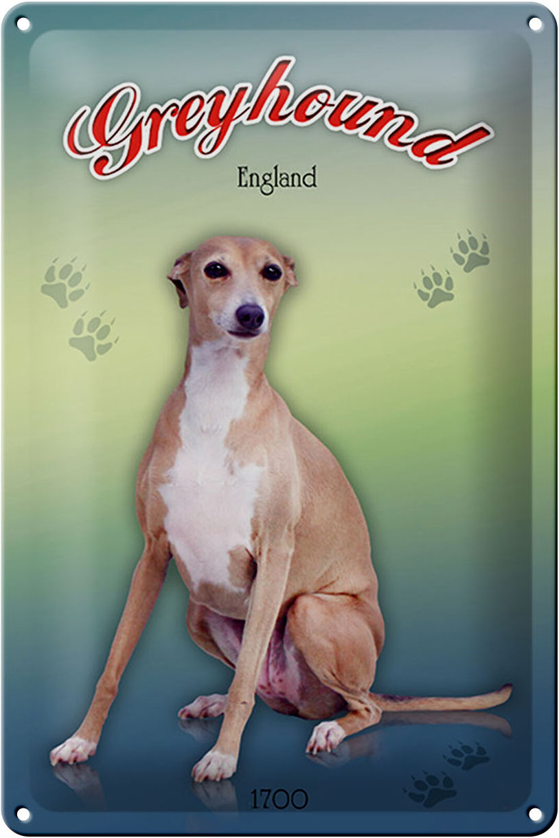 Schild Blech 20x30cm - Made in Germany - Hund Greyhound England Metall Deko Blechschild