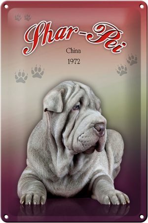 Schild Blech 20x30cm - Made in Germany - Hund Shar-Pei China 1972 Metall Deko Blechschild