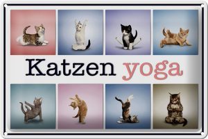 Schild Blech 30x20cm - Made in Germany - Katze Katzen Yoga Metall Deko Blechschild