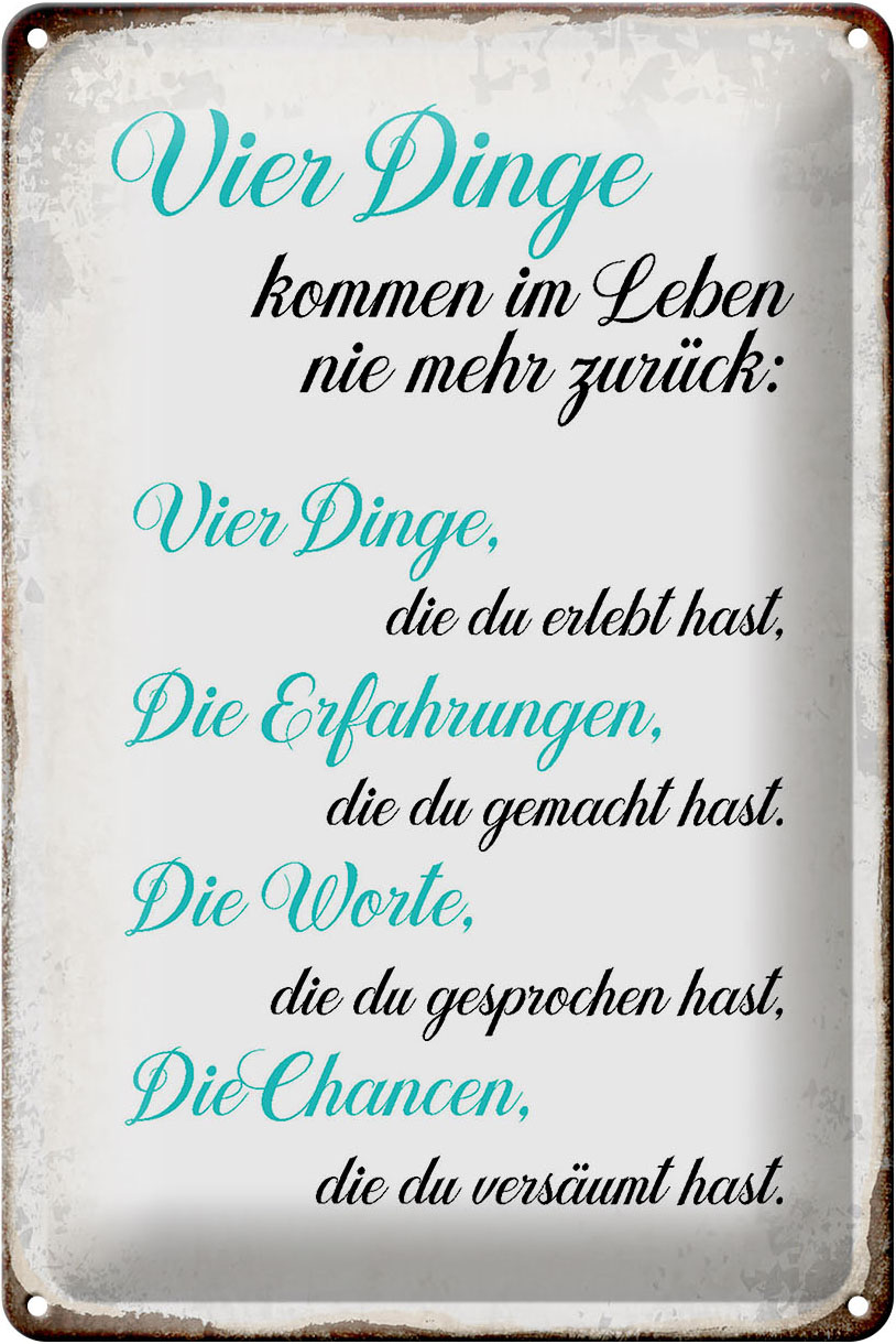 Schild Blech 20x30cm - Made in Germany - Spruch 4 Dinge kommen nie mehr zurück Metall Deko Blechschild – Bild 2