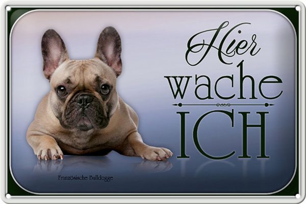 Schild Blech 30x20cm - Made in Germany - Hund Französische Bulldogge hier Metall Deko Blechschild
