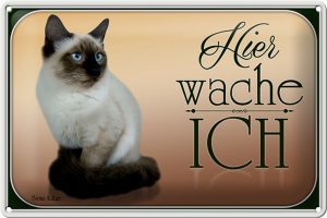 Schild Blech 30x20cm - Made in Germany - Katze Birma Katze hier wache ich Metall Deko Blechschild