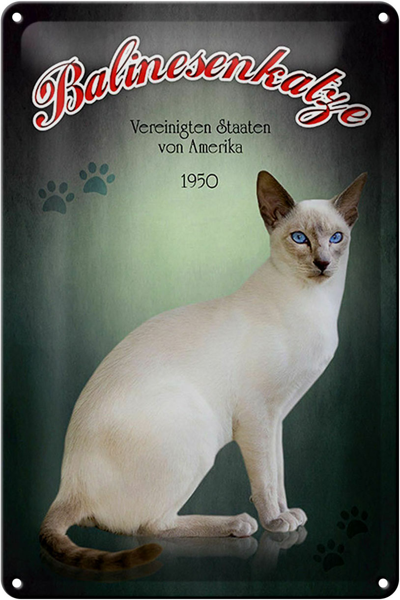 Schild Blech 20x30cm - Made in Germany - Katze Balinesenkatze Amerika 1950 Metall Deko Blechschild