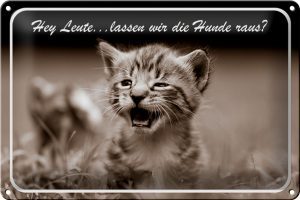 Schild Blech 30x20cm - Made in Germany - Katze Hey lassen wir die Hunde raus? Metall Deko Blechschild