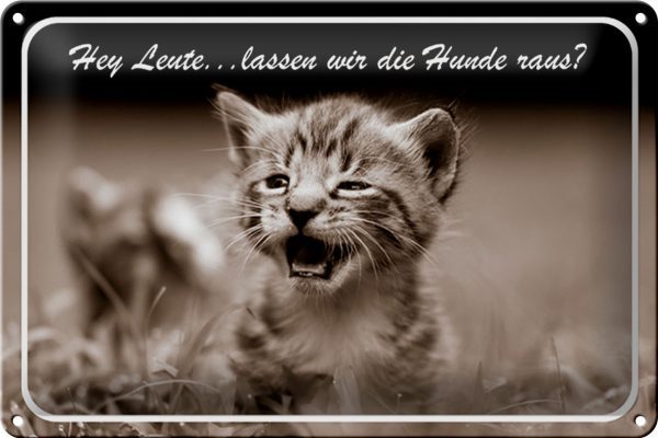 Schild Blech 30x20cm - Made in Germany - Katze Hey lassen wir die Hunde raus? Metall Deko Blechschild