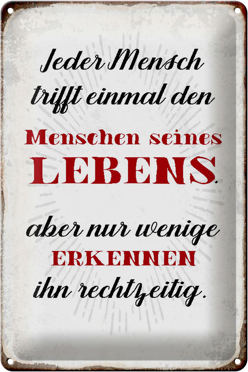 Schild Blech 20x30cm - Made in Germany - Spruch jeder Mensch trifft einmal den Metall Deko Blechschild