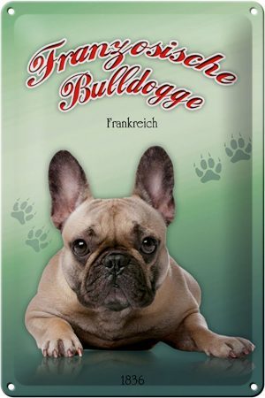 Schild Blech 20x30cm - Made in Germany - Hund Französische Bulldogge Metall Deko Blechschild