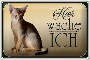 Schild Blech 30x20cm - Made in Germany - Katze Abessinier Katze hier wache ich Metall Deko Blechschild