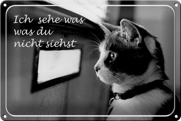 Schild Blech 30x20cm - Made in Germany - Katze ich sehe was du nicht siehst Metall Deko Blechschild