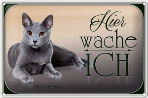 Schild Blech 30x20cm - Made in Germany - Katze Chartreux hier wache ich Metall Deko Blechschild
