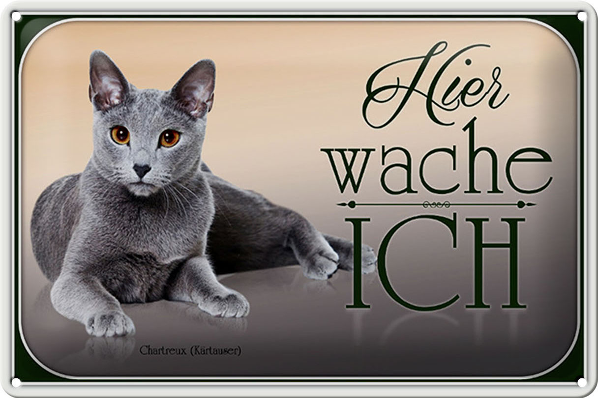 Schild Blech 30x20cm - Made in Germany - Katze Chartreux hier wache ich Metall Deko Blechschild
