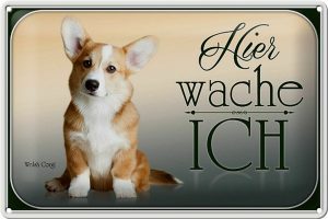 Schild Blech 30x20cm - Made in Germany - Hund Chihuahua hier wache ich Metall Deko Blechschild