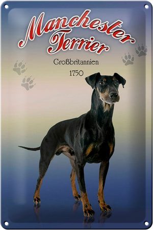 Schild Blech 20x30cm - Made in Germany - Hund Manchester Terrier Großbritanien Metall Deko Blechschild