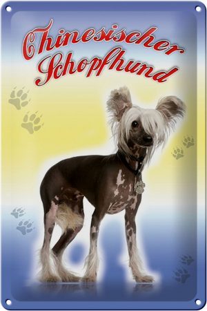Schild Blech 20x30cm - Made in Germany - Hund Chinesischer Schopfhund Metall Deko Blechschild