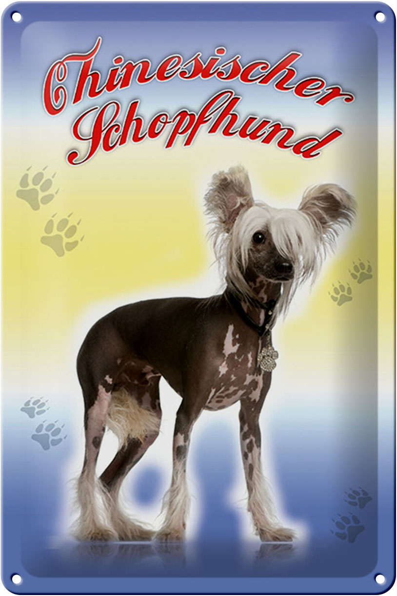 Schild Blech 20x30cm - Made in Germany - Hund Chinesischer Schopfhund Metall Deko Blechschild