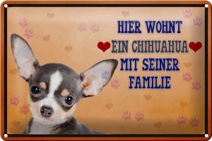 Schild Blech 30x20cm - Made in Germany - Spruch Hund hier wohnt ein Chihuahua Metall Deko Blechschild