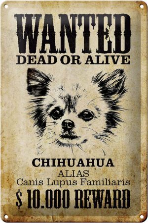 Schild Blech 20x30cm - Made in Germany - Hund wanted Chihuahua Alias