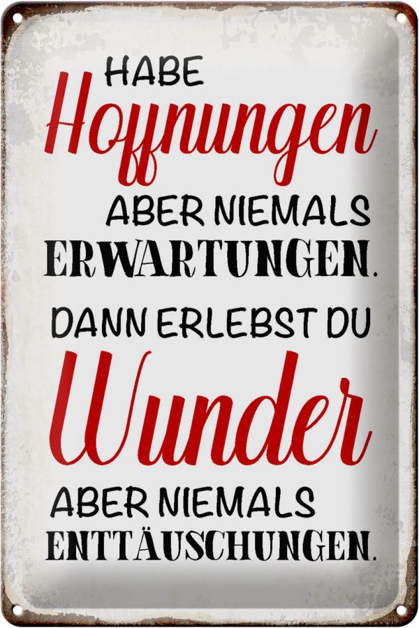Schild Blech 20x30cm - Made in Germany - Spruch habe Hoffnung Erwartungen Wunder Metall Deko Blechschild