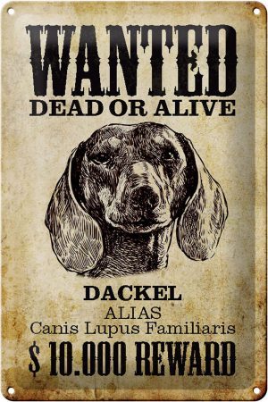 Schild Blech 20x30cm - Made in Germany - Hund wanted dead Dackel Alias