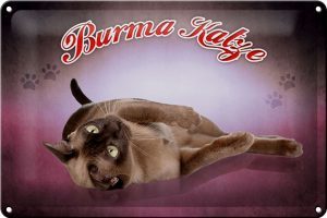 Schild Blech 30x20cm - Made in Germany - Katze Burma Katze Metall Deko Blechschild