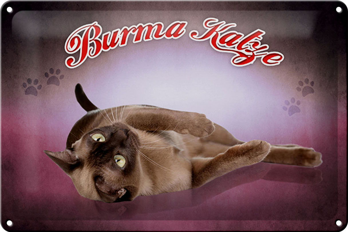 Schild Blech 30x20cm - Made in Germany - Katze Burma Katze Metall Deko Blechschild