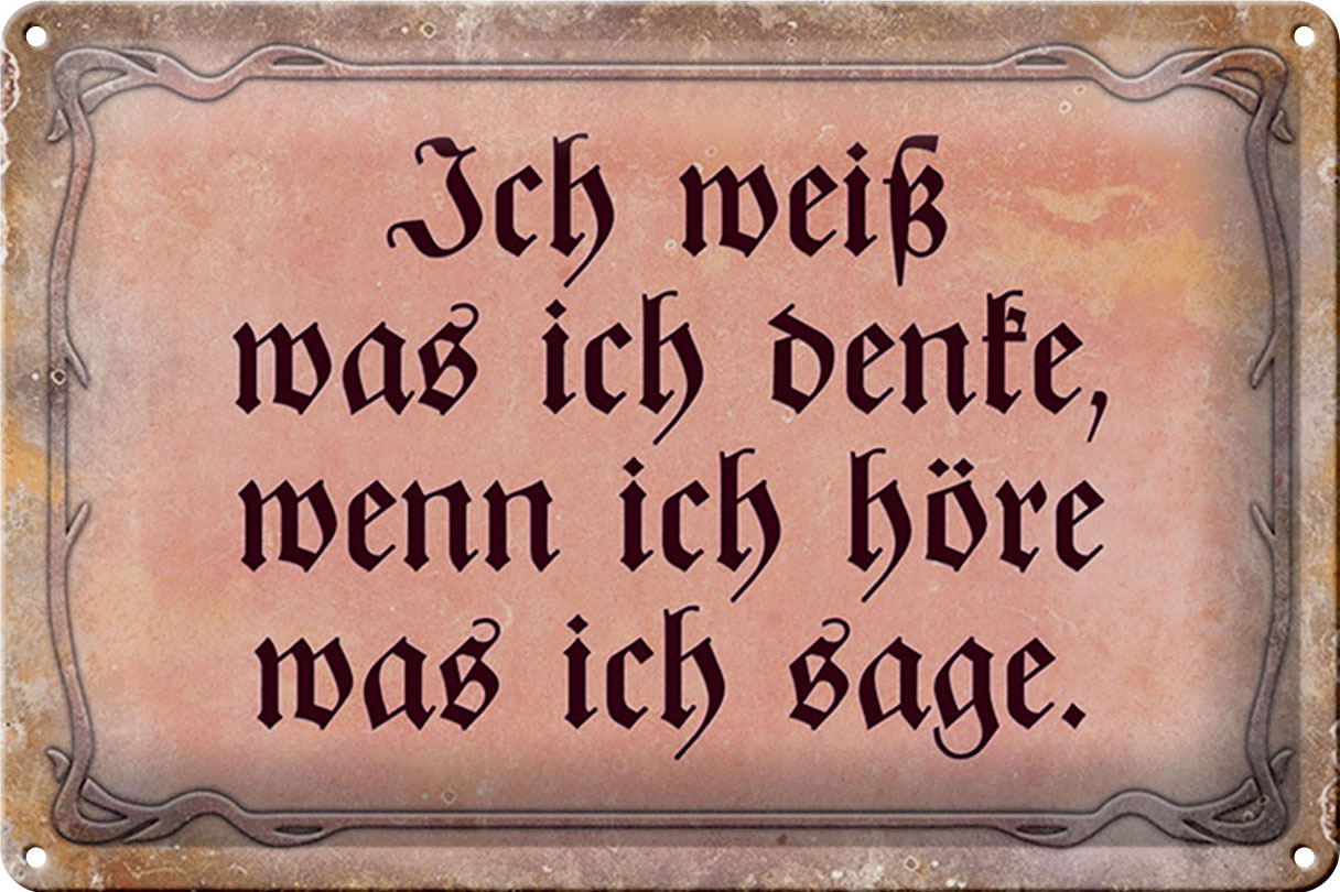 Schild Blech 30x20cm - Made in Germany - Spruch ich weiß was ich denke wenn Metall Deko Blechschild