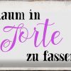 Schild Blech 30x20cm - Made in Germany - Spruch kaum in Torte zu fassen Metall Deko Blechschild – Bild 2